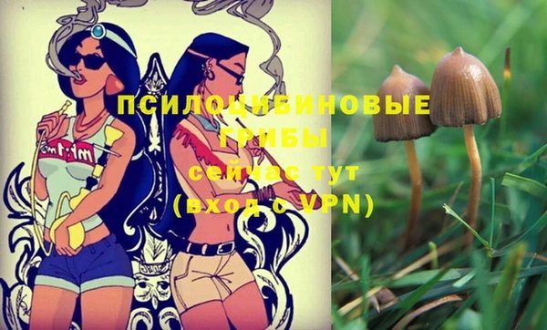 гашик Белокуриха