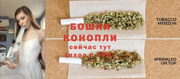 гашик Белокуриха
