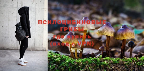 ПСИЛОЦИБИНОВЫЕ ГРИБЫ Белоозёрский