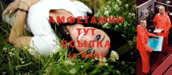 гашик Белокуриха