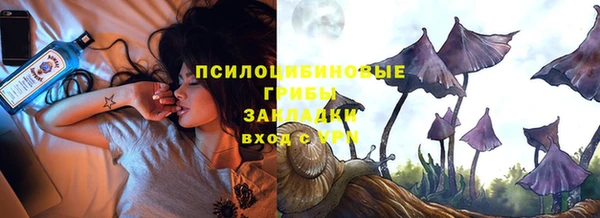 ПСИЛОЦИБИНОВЫЕ ГРИБЫ Белоозёрский