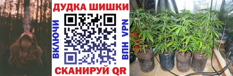 наркота  Новая Усмань  Марихуана планчик 